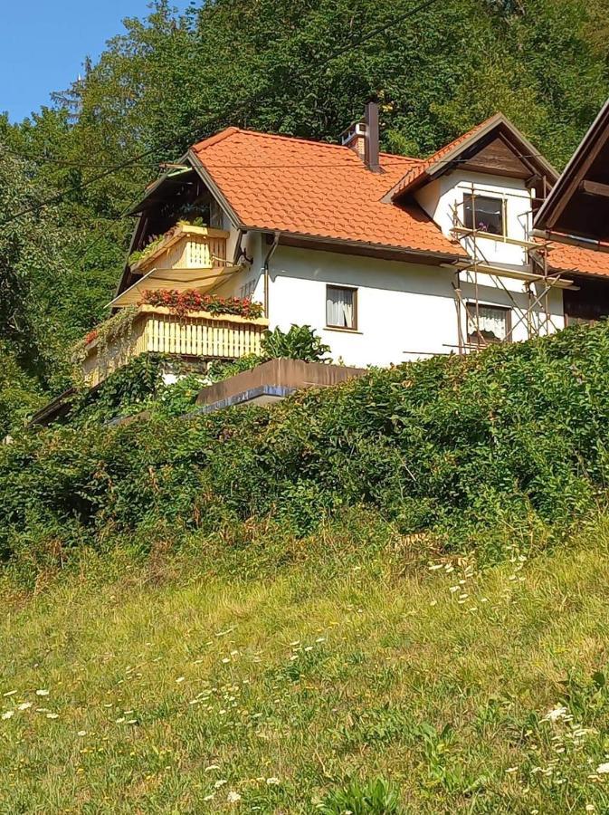 Apartment With A View Бохиньска-Быстрица Экстерьер фото